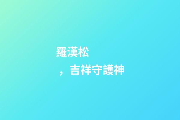 羅漢松，吉祥守護神